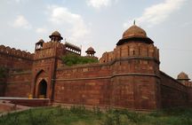  Delhi's historical 7 hours experience tour 