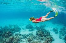 Snorkeling Experience in Underwater Museum with Transportation from Cancún