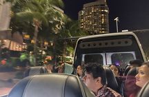 Miami Panoramic Tour By Night