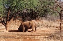 2-Day Private Guided Tour to Tarangire and Ngorongoro