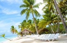 Full day- Saona Island tour From Punta cana all inclusive