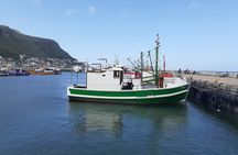 Private Cape Point / Peninsula Tour