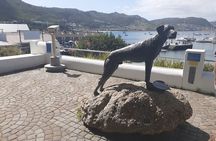 Private Cape Point / Peninsula Tour