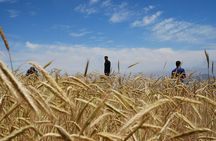 Private Day Tour: Timinkar Plateau 13 villages to explore with breathtaking view