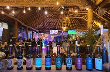 Bar hopping tour in Merida