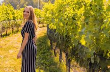 Osoyoos Half Day Wine Tour (Incl. Tasting Fees & Guide Gratuity!)