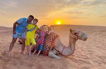 Evening Desert Safari & BBQ With Live Shows,Camel Ride,Falcon pic