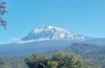 5 Days Marangu Route Kilimanjaro Trekking