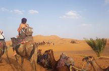  4-Days Sahara Desert Trip From Marrakech end at Marrakech