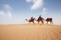Dubai: Camel Caravan, Bedouin Breakfast with Al Marmoom Oasis