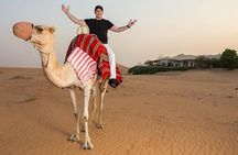 One Hour Horse or Camel Riding with Transfer- Sharm El-Sheikh