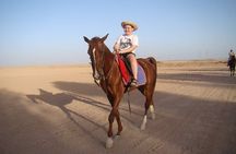 One Hour Horse or Camel Riding with Transfer- Sharm El-Sheikh