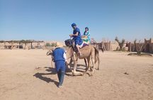 Sunset Dinner & Camel Ride in Agafay desert 