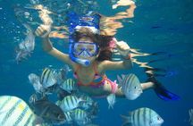 Dolphin House Sea Trip - HURGHADA VIP