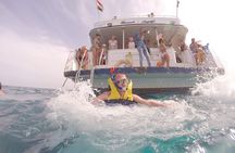 Dolphin House Sea Trip - HURGHADA VIP