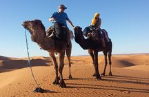 Private Marrakech Desert tour to Fes