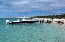 Boat Charters & Excursions 