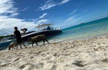 Boat Charters & Excursions 