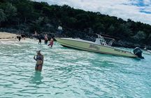Boat Charters & Excursions 