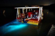 Luminous Lagoon Tour from Montego Bay ( Glistening Waters)
