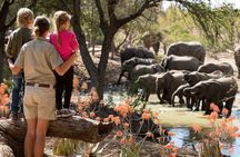 Nyerere ( Selous) National park,game drive, walking safari, & boat