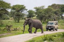 2 Days Ruaha National park