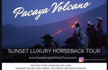Pacaya Volcano Luxury Horseback Riding Tour