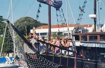 Dolphin Watching Boat Trip around Vrsar