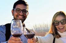 Intimate Wine Tour with Wine Pairing Lunch