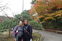 Kanazawa Food & Tea Culture Full-Day Private Tour with Government-Licensed Guide