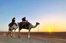 Marrakesh: Agafay Desert Sunset, Camel Ride, and Dinner Show