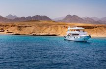 Ras Mohamed and White Island Snorkeling Trip and One Stop Diving-Sharm El Shiekh