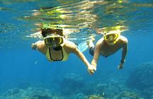 Ras Mohamed and White Island Snorkeling Trip and One Stop Diving-Sharm El Shiekh
