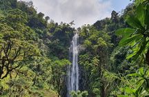 Materuni waterfalls,coffee tour & Kikuletwa(Chemka)Hot Springs