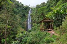 Materuni waterfalls,coffee tour & Kikuletwa(Chemka)Hot Springs
