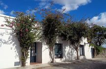 Colonia Premium Day Tour From Buenos Aires