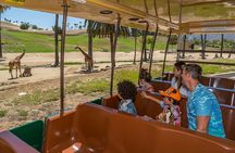 San Diego Zoo and Safari Park