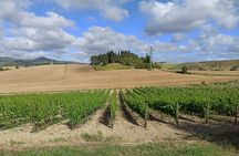 PRIVATE TRANSFER from Siena to Florence with stop in S Gimignano & Monteriggioni