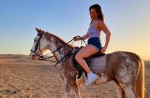One Hour Horse or Camel Riding with Transfer- Sharm El-Sheikh