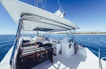 Luxury Sailing Whale Watch and The Arch (Dec 15 - Apr 15)