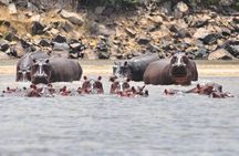 3 Days Nyerere National Park Safari (Selous Game Reserve)