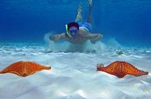 Cozumel Private 4-hour Boat Tour to El Cielo with Snorkeling