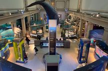 Smithsonian National Museum of Natural History with Guided Tour