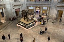 Smithsonian National Museum of Natural History with Guided Tour