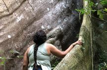 Central Mountain Range - Hiking, Waterfalls & Coffee Shop