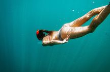 Snorkel and Whale Platinum Tour (Dec 15- Apr 15)