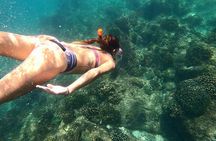Snorkel and Whale Platinum Tour (Dec 15- Apr 15)