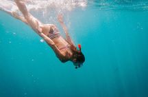 Luxury Snorkel Adventure in Cabo