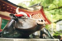 Guided Train and Boat Tour of Dazaifu & Yanagawa from Fukuoka