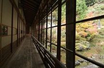 Mt Koya 1 Day Walking Tour from Osaka